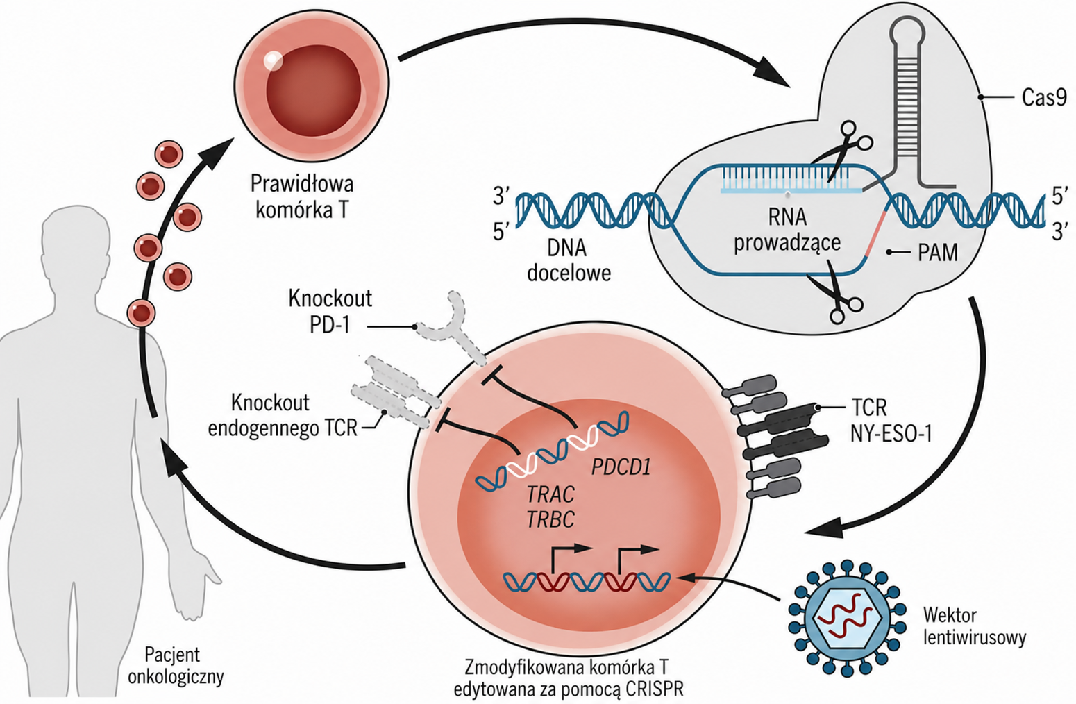 Noc, która zmieniła genetykę (2018): sprawa He Jiankui i pierwsze dzieci CRISPR